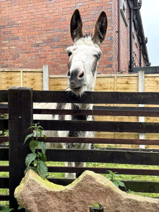 4 Bedroom - Sleep 9 Home In Cheadle Staffordshire - Alton Towers Polar Express Dimmingsdale Peak District Trentham Gardens Water World Exterior foto