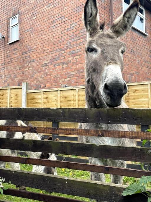 4 Bedroom - Sleep 9 Home In Cheadle Staffordshire - Alton Towers Polar Express Dimmingsdale Peak District Trentham Gardens Water World Exterior foto